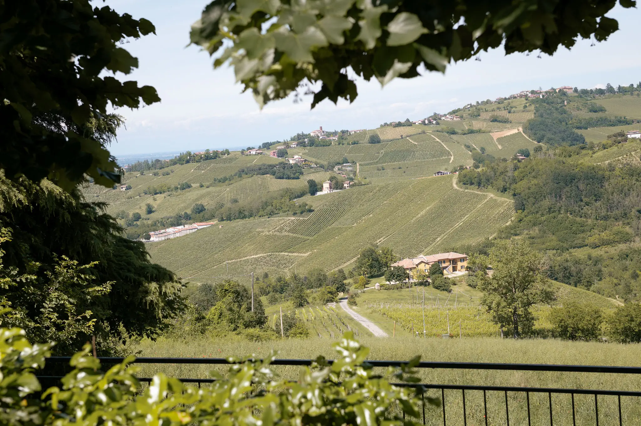 BattesimoStefano-1